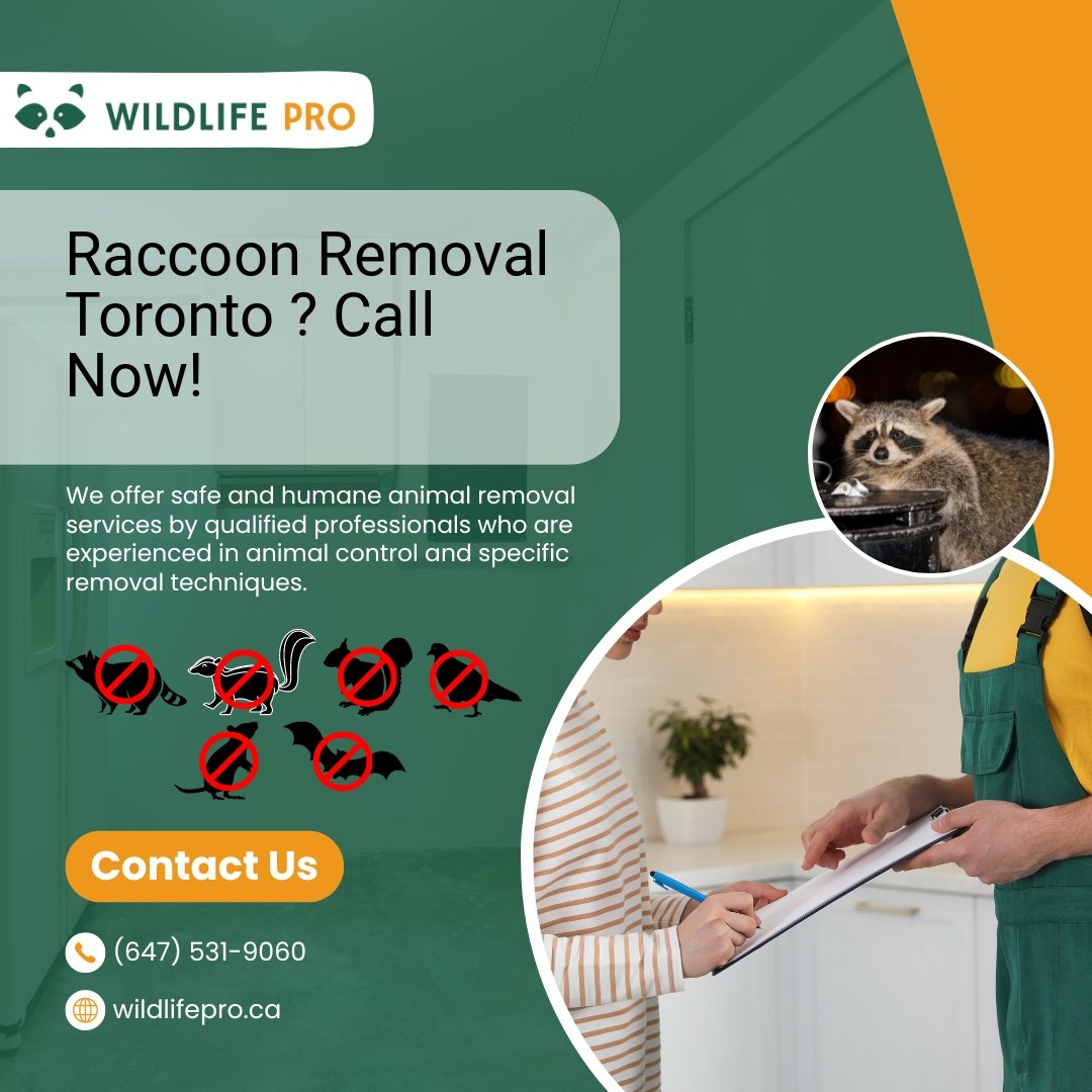 Wild Life Removal Services
