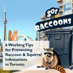 6 Working Tips for Preventing Raccoon and Squirrel Infestations in Toronto